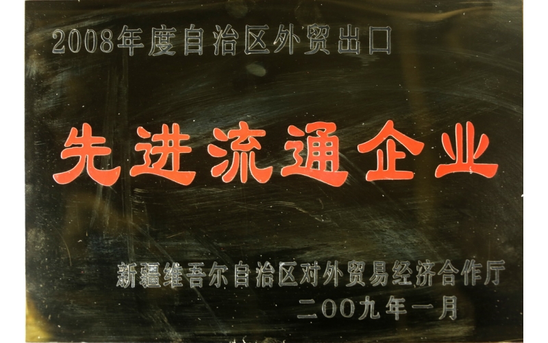 2009年新疆外貿(mào)出口先進(jìn)企業(yè)
