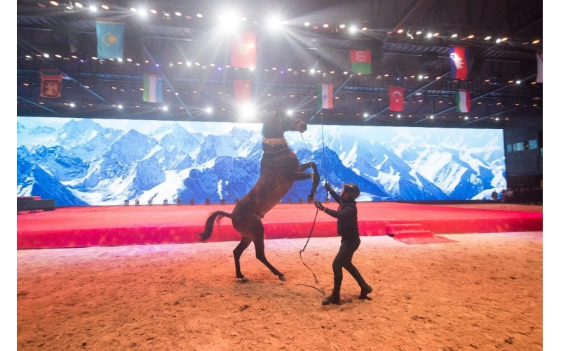 住馬酒店、吃馬肉腸、喝馬奶粉、品馬奶酒--